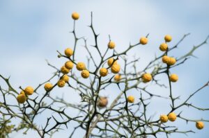 artstationの使い方を初心者がマスターするためのポイントは？