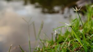 自己PRを活かすためのゲーム業界での成功事例は？