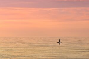 eスポーツ選手の日本における人口はどれくらいですか？